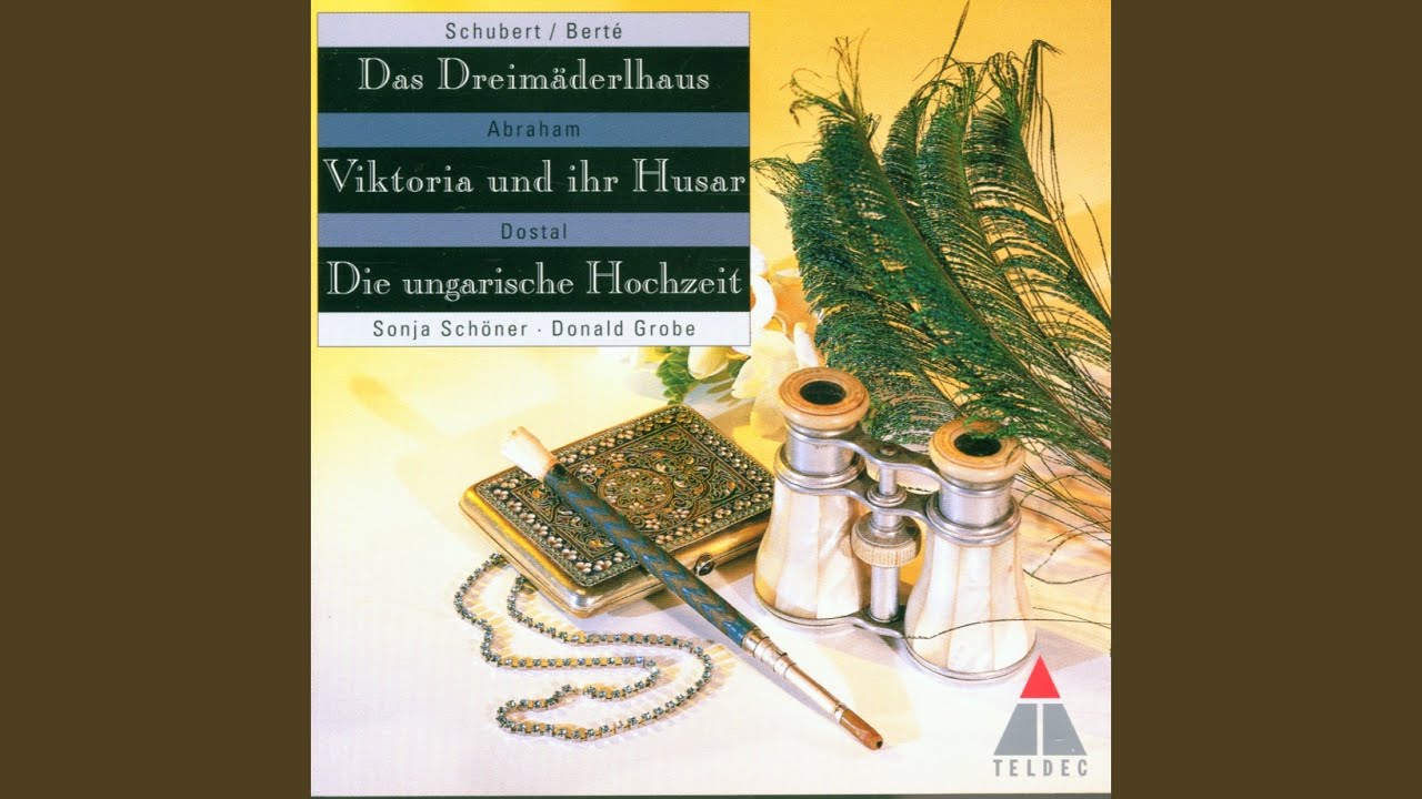 Abraham : Viktoria und ihr Husar : IV 