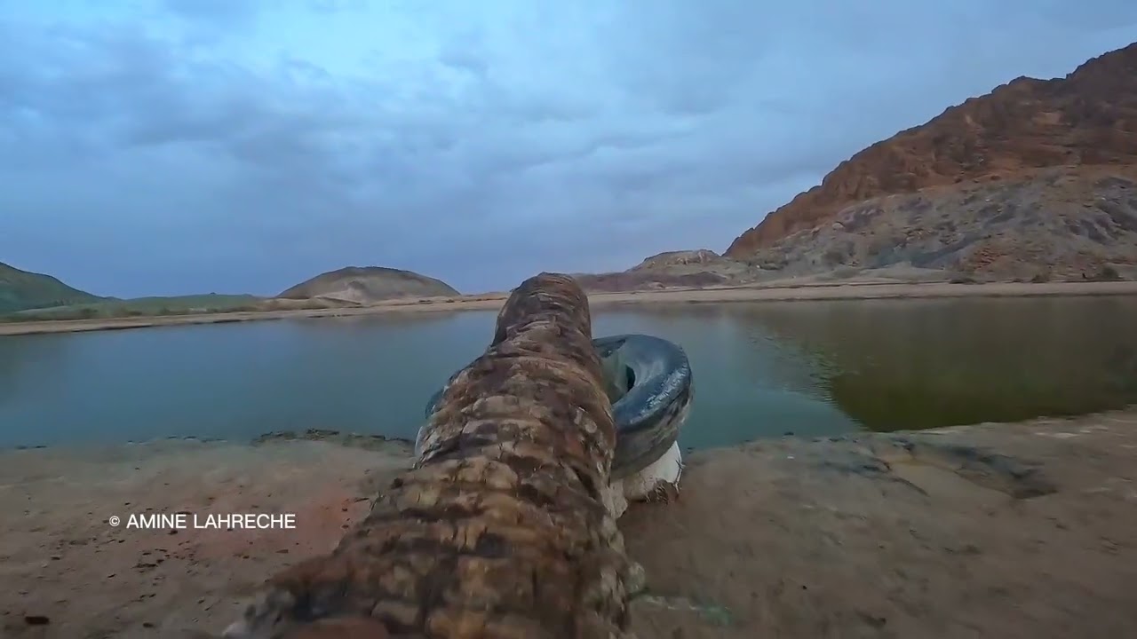 حمام عين ورقة حمام معدني طبيعي بولاية النعامة 📸 محمد الأمين لحرش