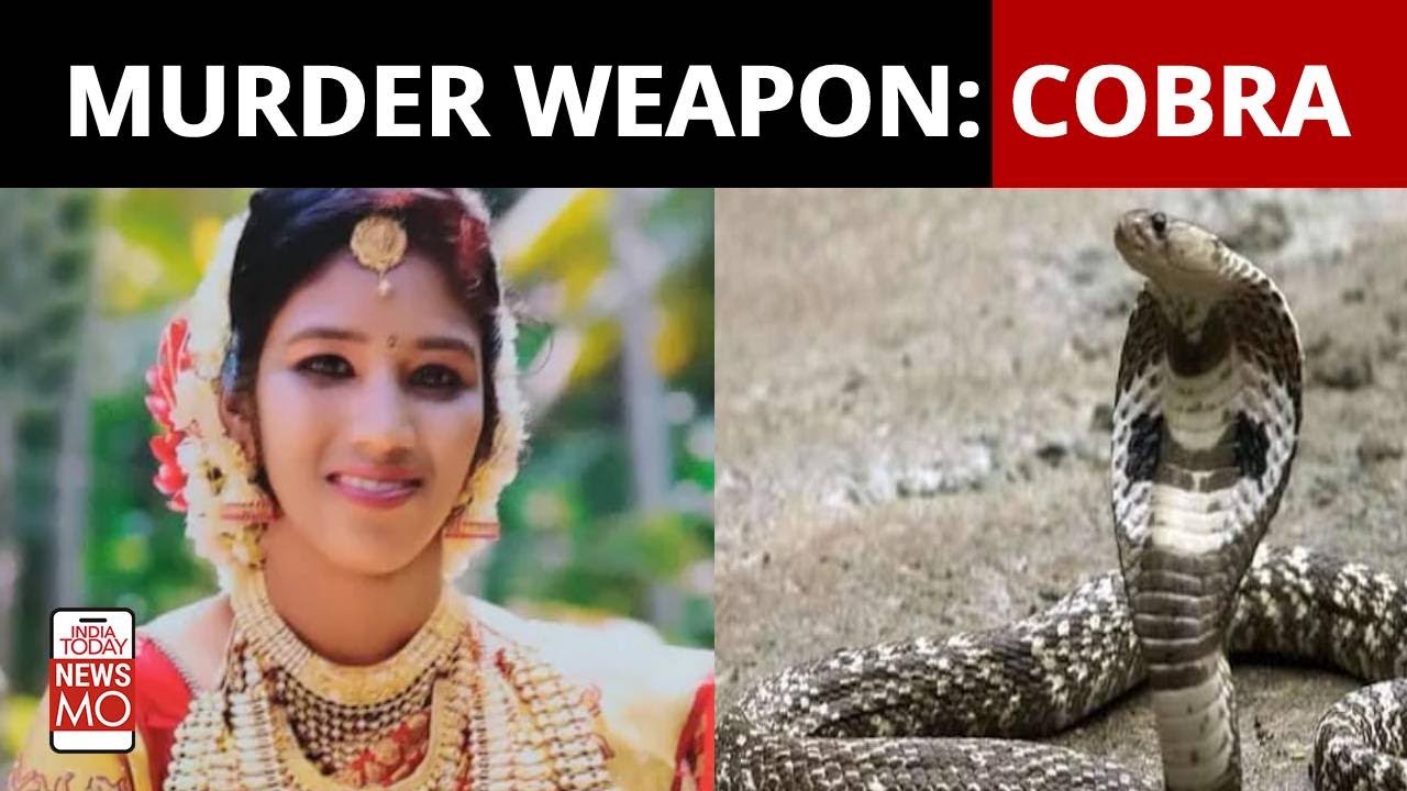 Kerala Man Found Guilty For Killing His Wife With Cobra | NewsMo