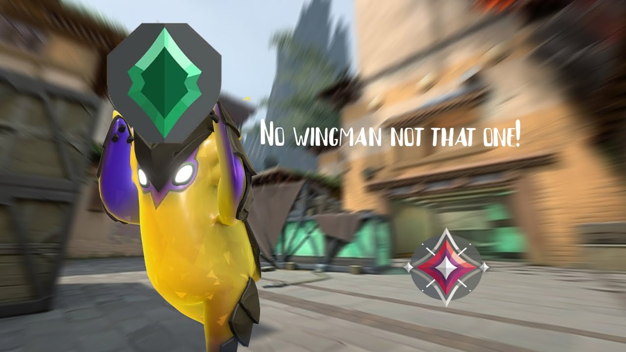 greater than one // Gekko Montage