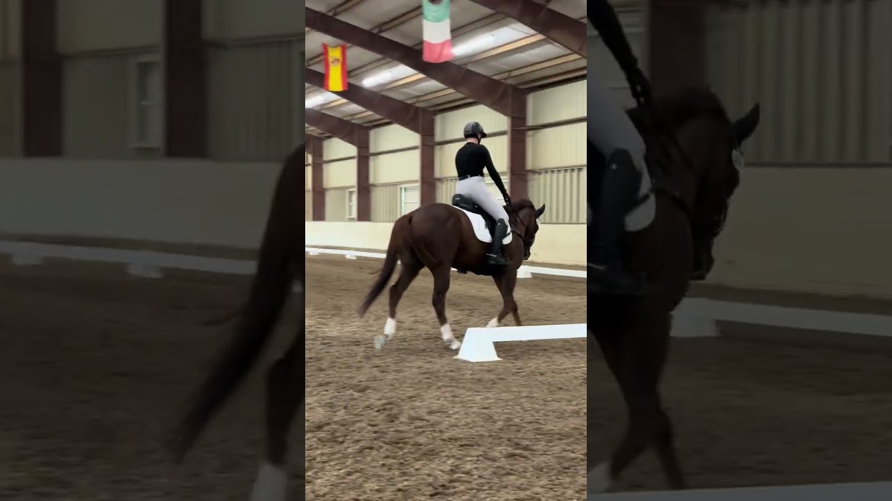 Intense and Zoe Weide at the Thoroughbred Show