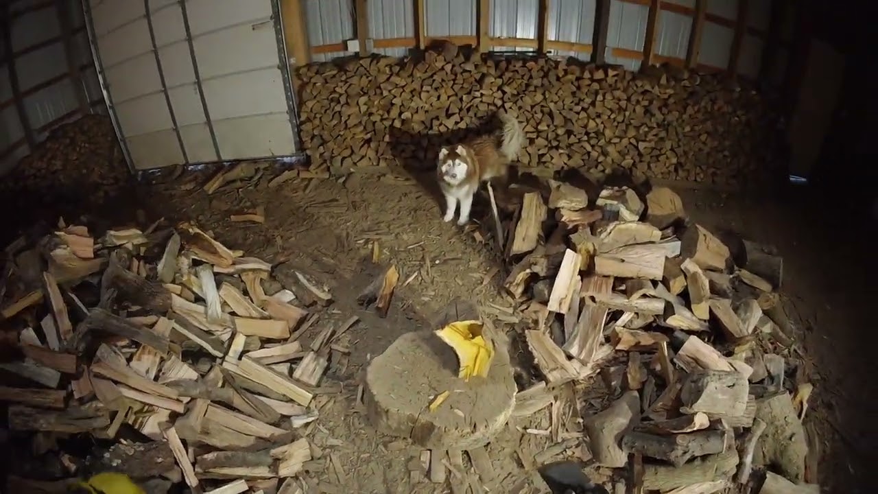 Choppy Time #207  (01/11/2026)  Indoor Woodcutting ASMR