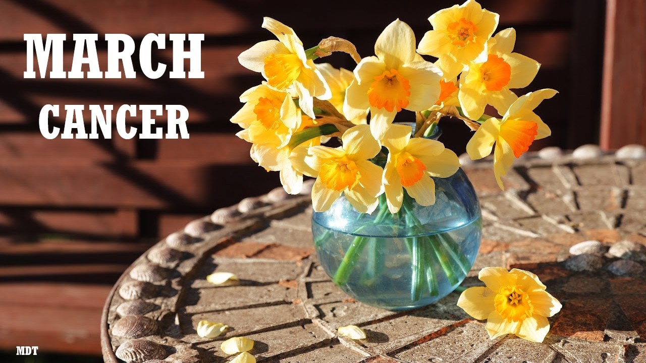 Cancer Monthly Tarot Reading ~ March 2026 ~ A NEW DEVELOPMENT CAUSES YOU TO LOOK FOR SOMETHING NEW!