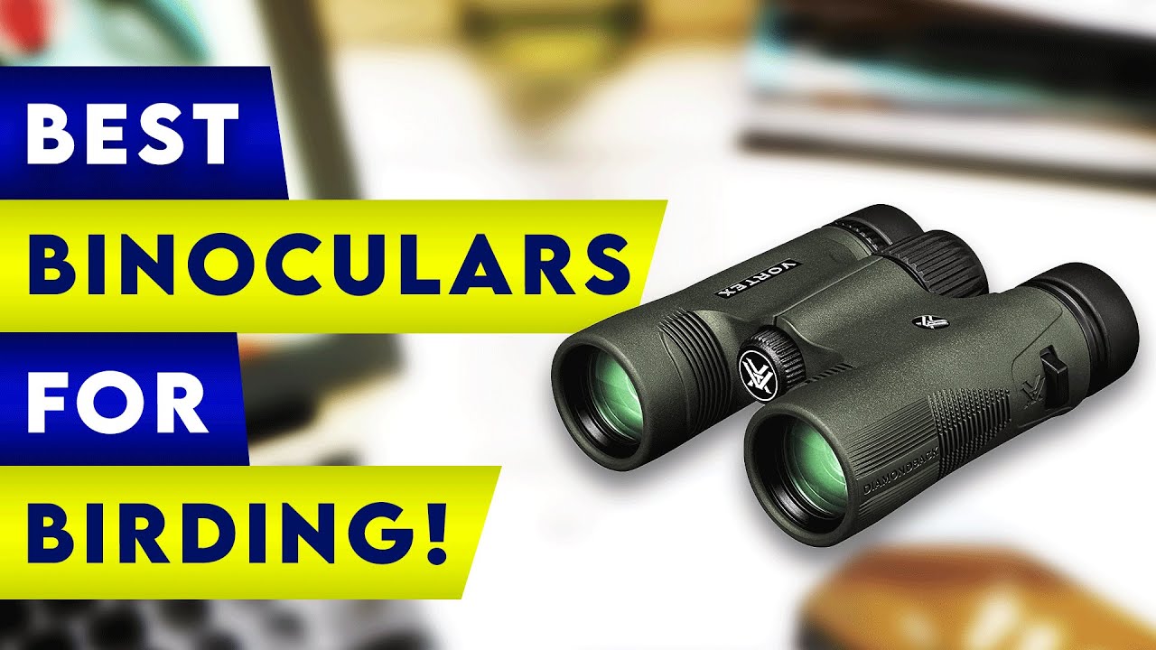 3 Best Binoculars For Birding! ✅