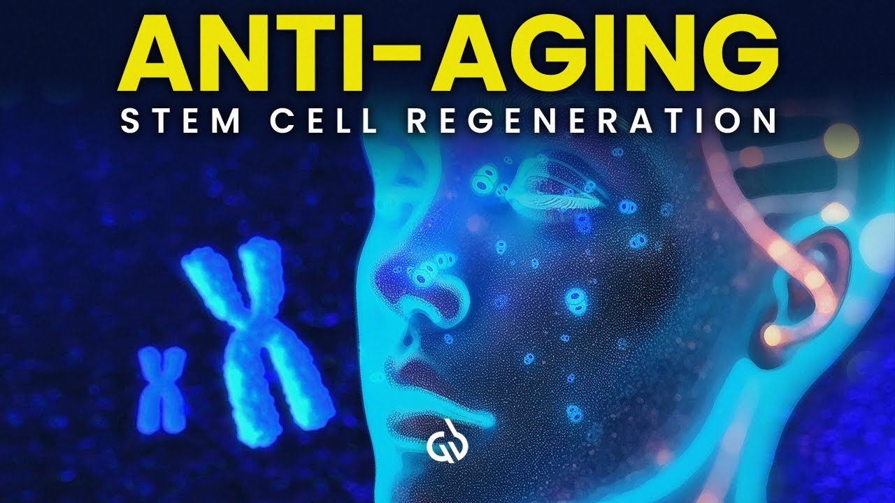 Stem Cell Regeneration: Binaural Beats to Regenerate Your Telomeres, Anti-Aging
