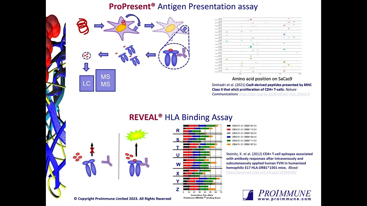An Integrated Approach and Strategies to Mitigate Immunogenicity Risk