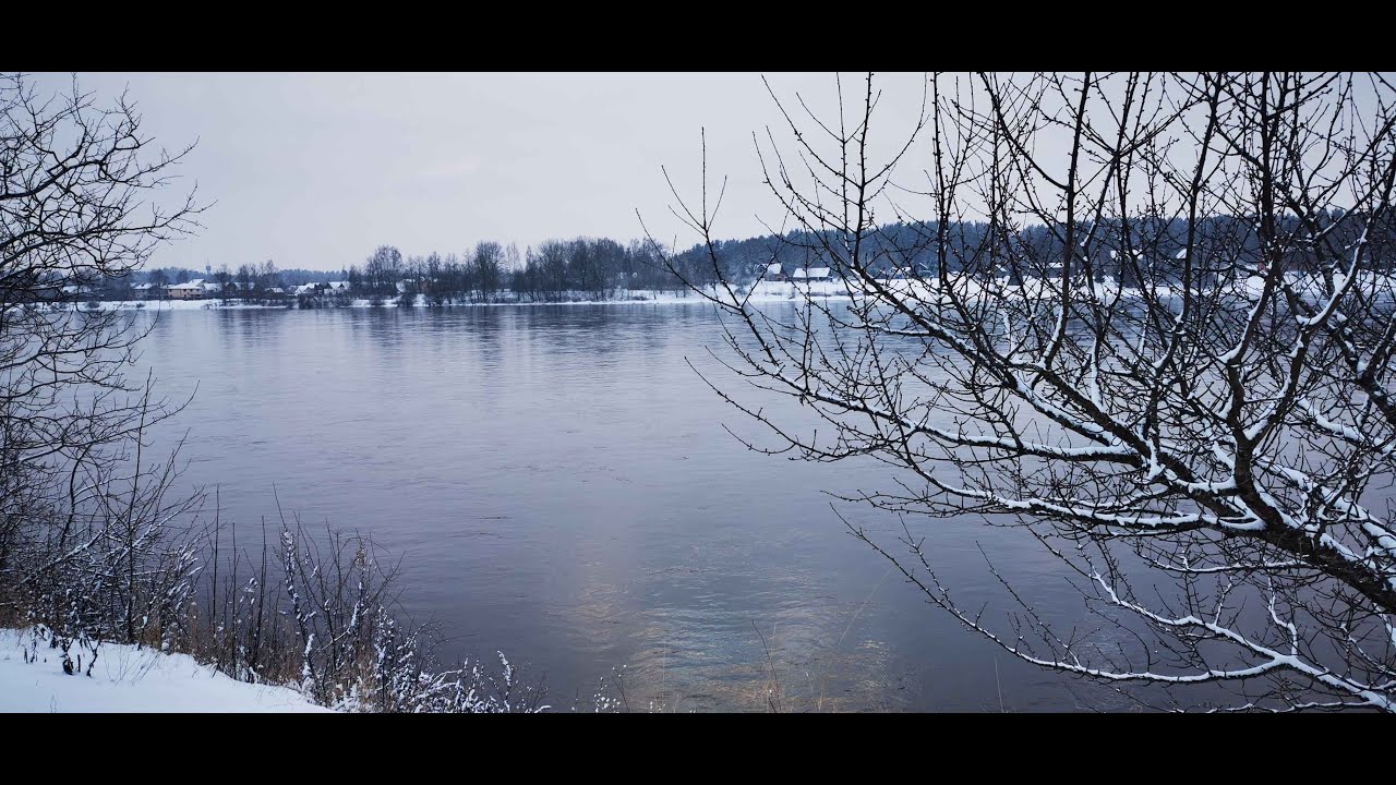 Winter in Latvia | Darzini Village Walk - Part 1 | Cozy Relaxing POV