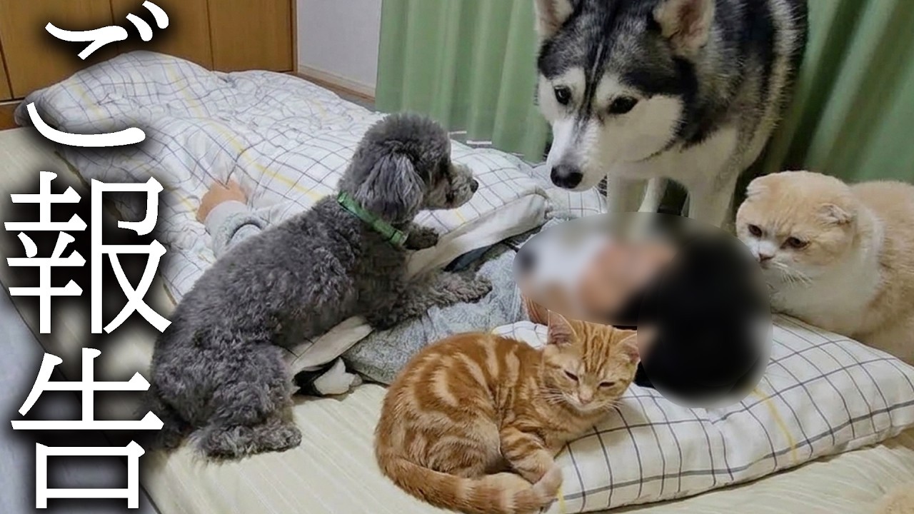 怪我の状態についてご報告いたします...