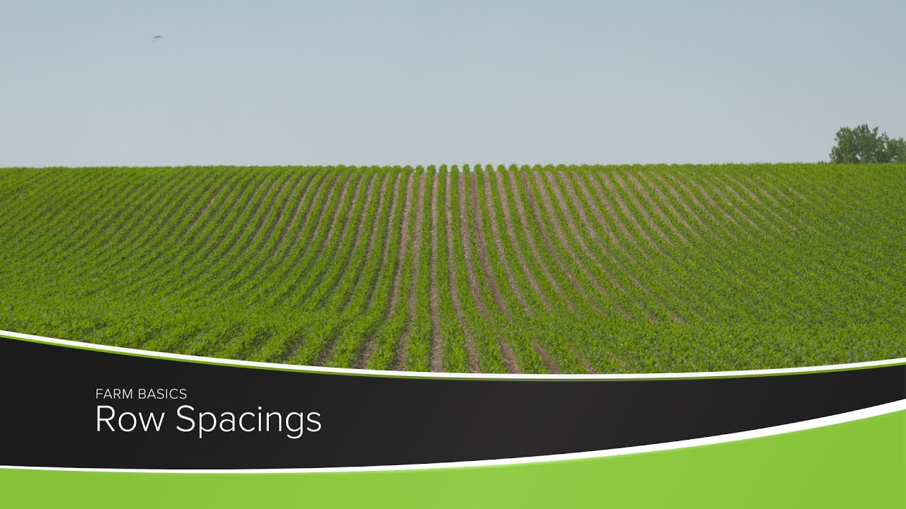 Row Spacings