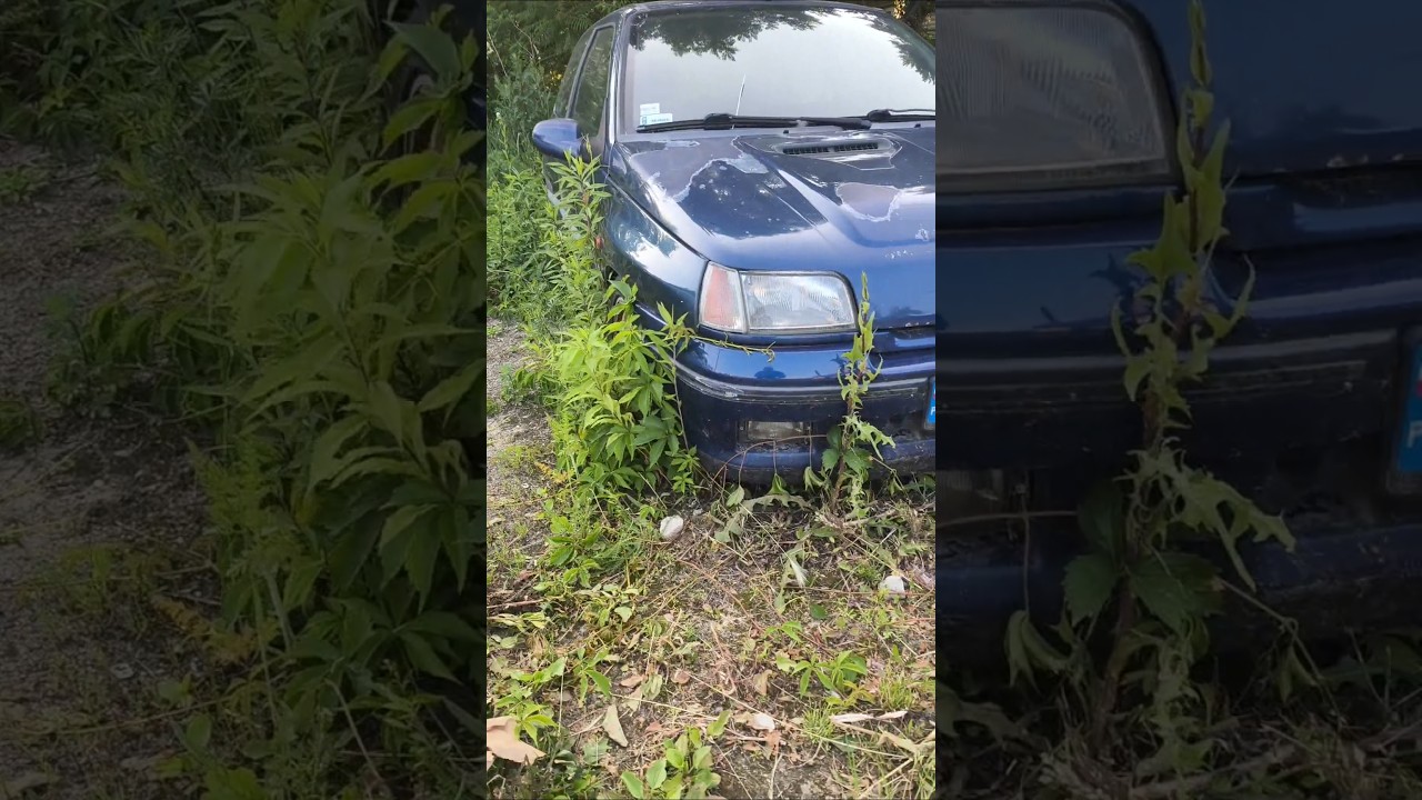Oryginalne Renault Clio Williams 2.0 16V porzucone w krzakach!!!!