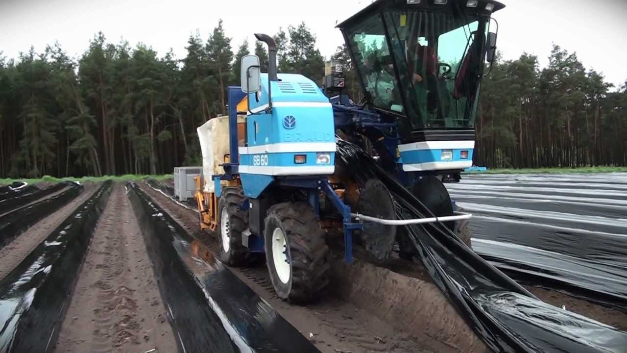 Asparagus harvesting machine Kirpy