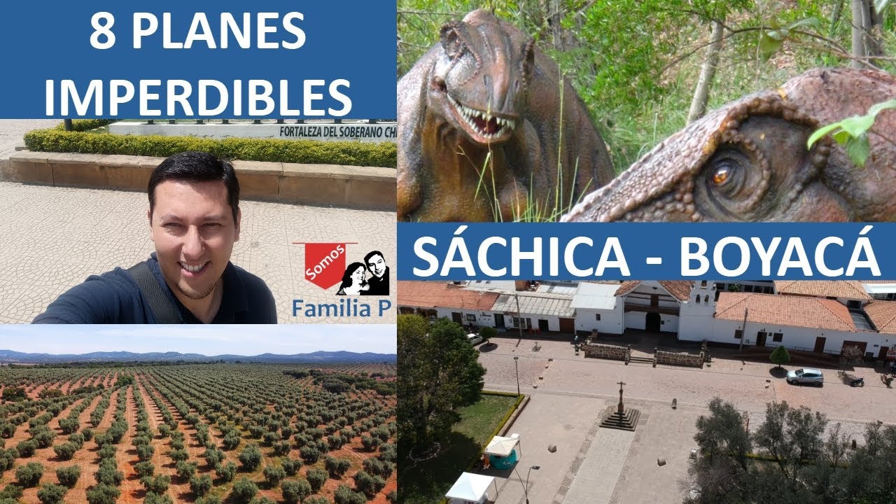 Reseña de SÁCHICA y 8 cosas Imperdibles