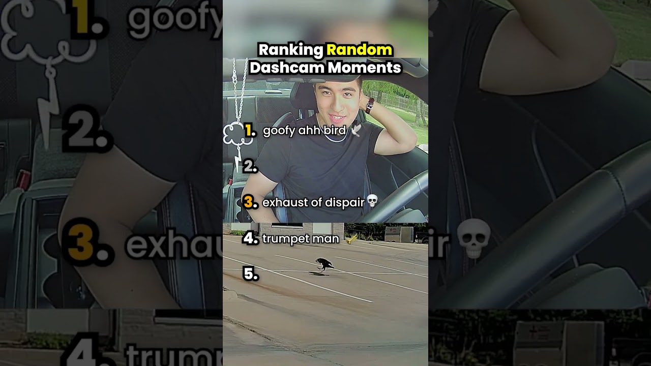 Ranking Top 5 Funny Dashcam Moments 