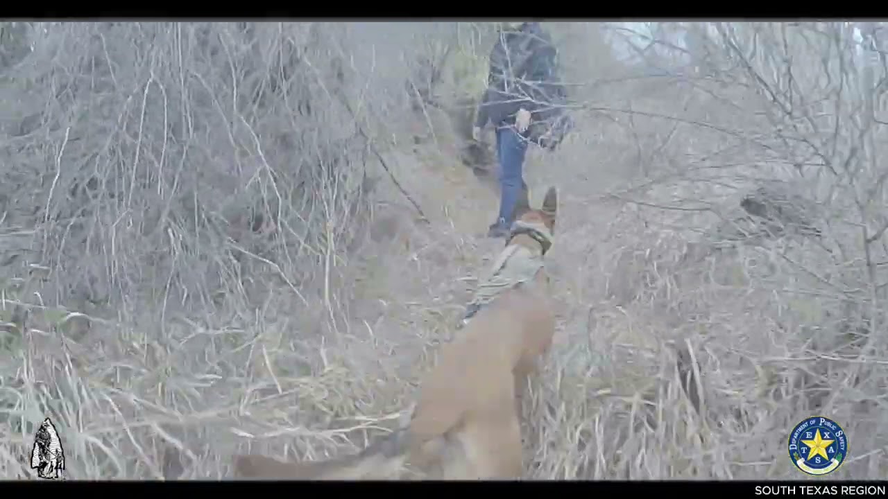 DPS K-9 Tracks Down Illegal Immigrants Hiding On Private Ranch In Maverick Co.