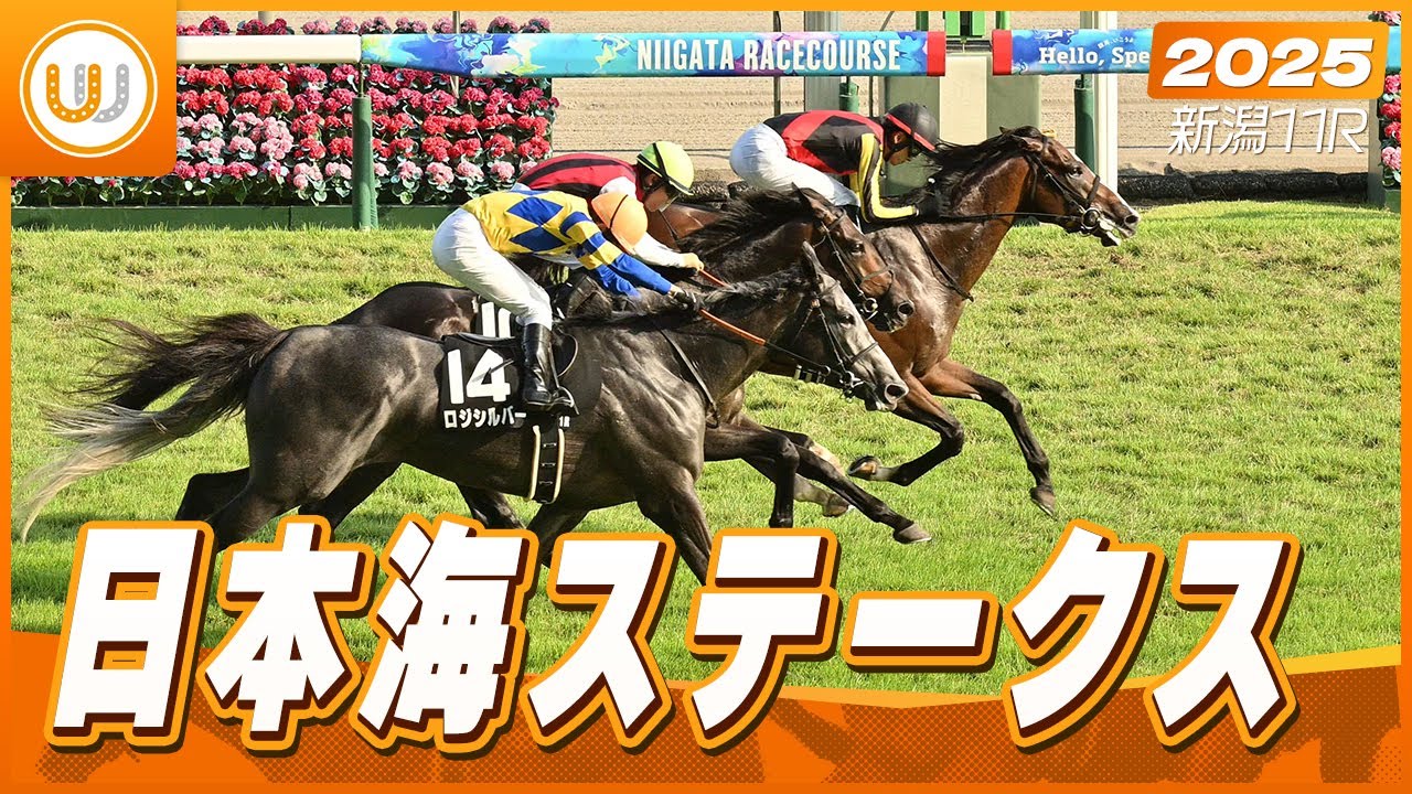【レース映像】新潟11R 日本海ステークス｜ゲルチュタール（坂井瑠星）｜ウイニング競馬