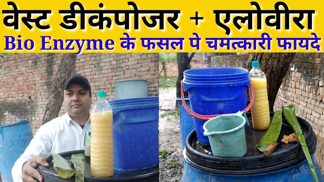 फ्री में सबसे शक्तिशाली Bio Enzyme कैसे बनाए । Aloe Vera Se Bio Enzyme Banaye ।