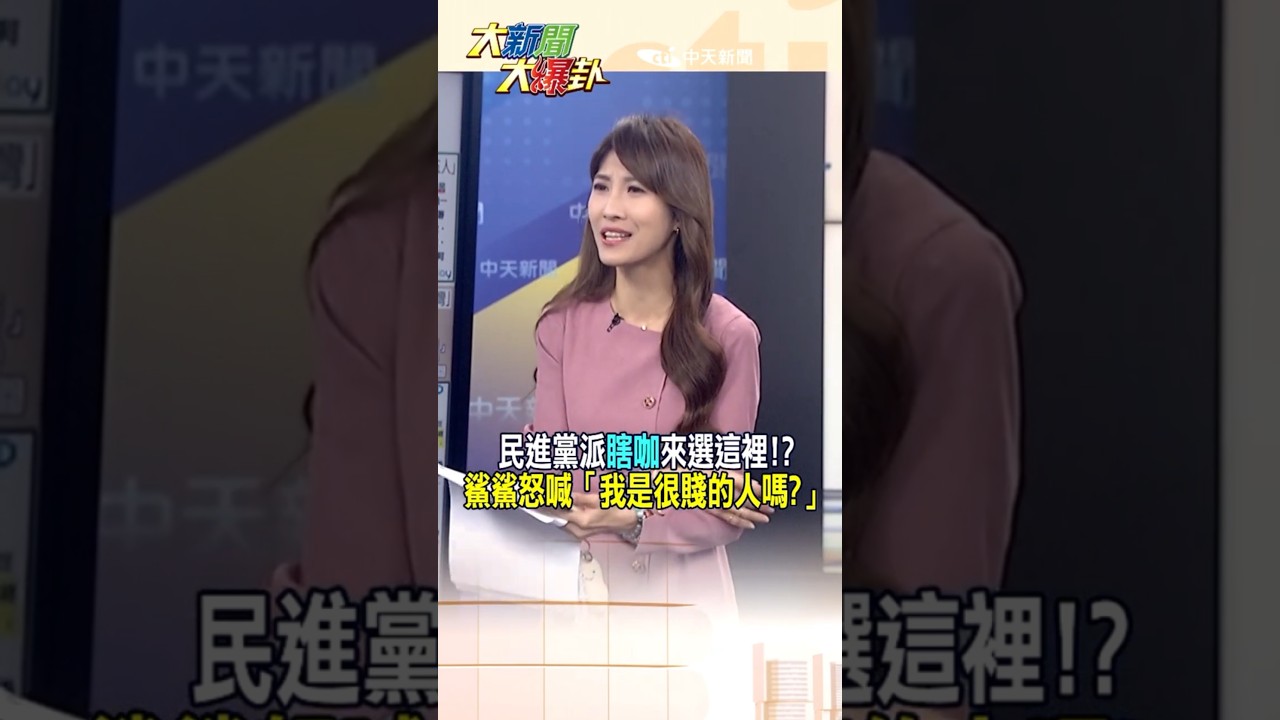 民進黨派