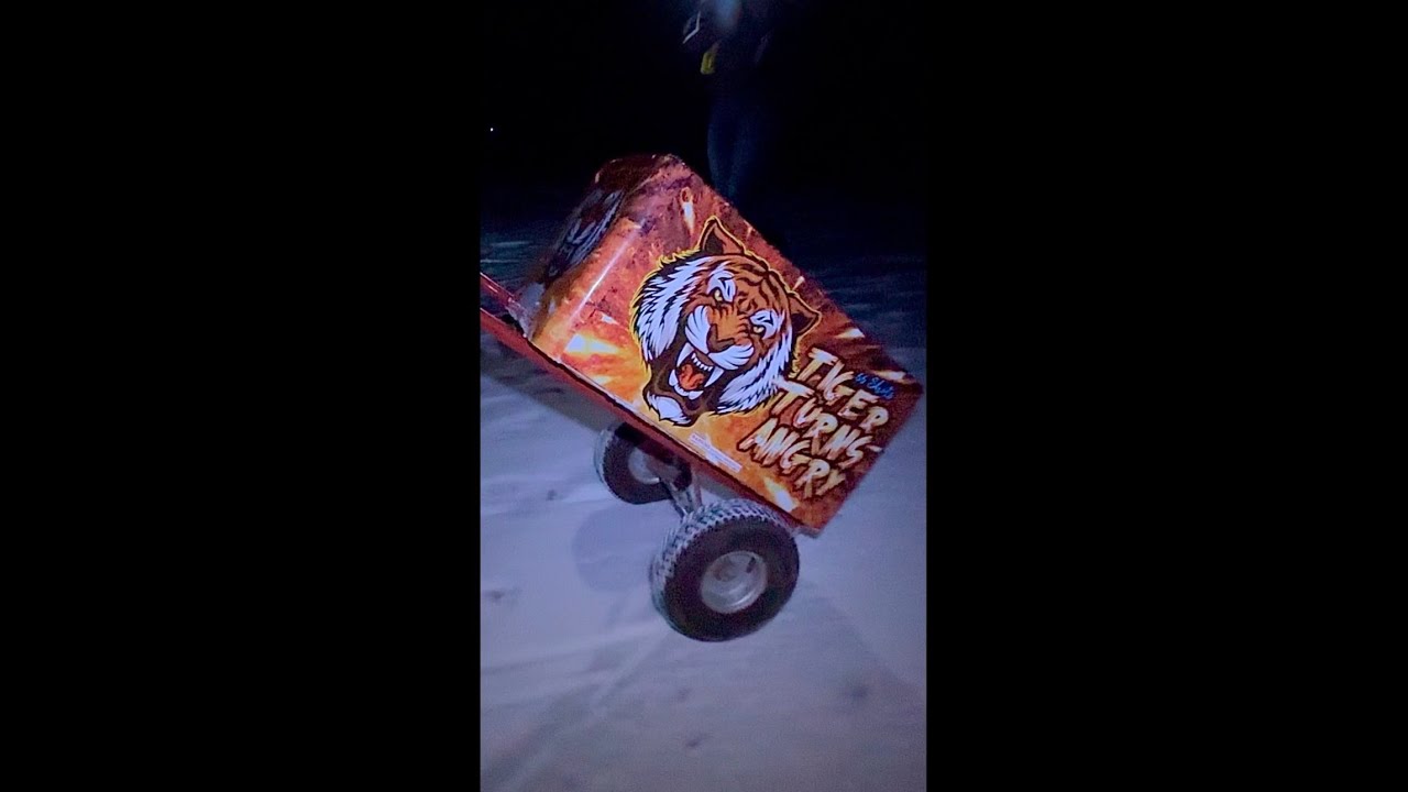 TIGER TURNS ANGRY 66 SHOT FIREWORK