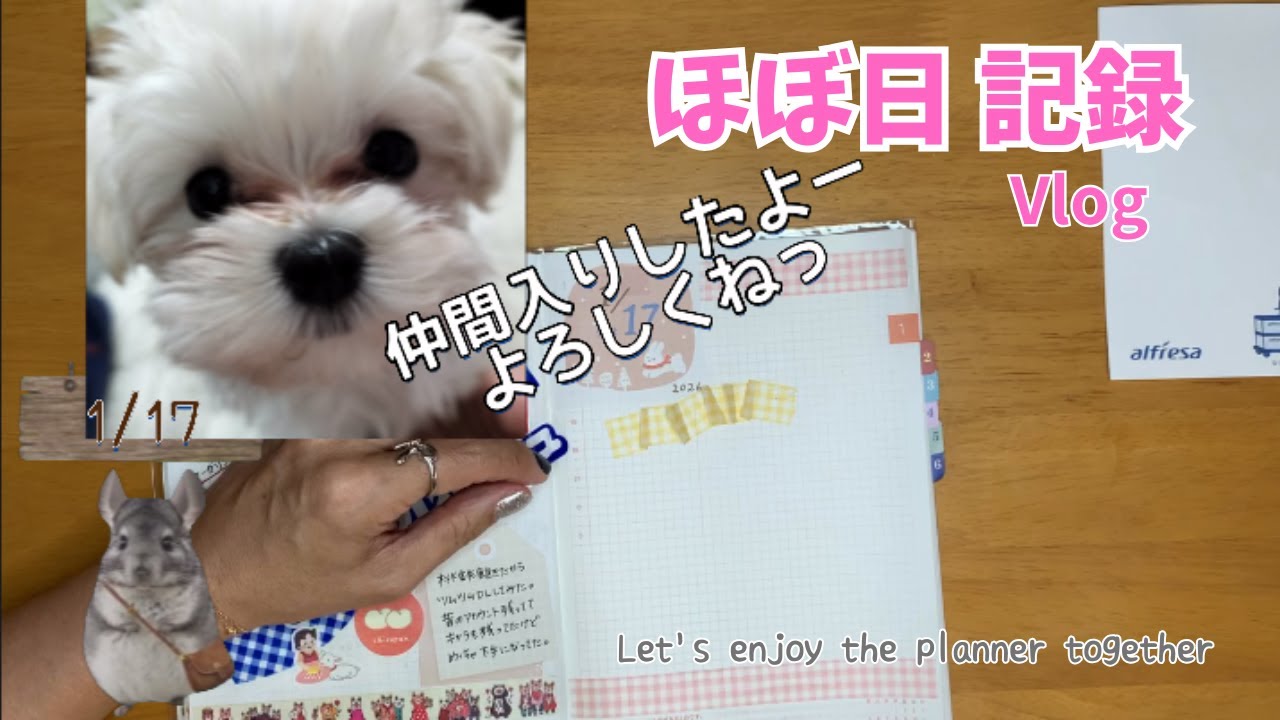 【ほぼ日 記録 Vlog】仲間入りしました🐶｜クッキーとの新しい日常と手帳時間