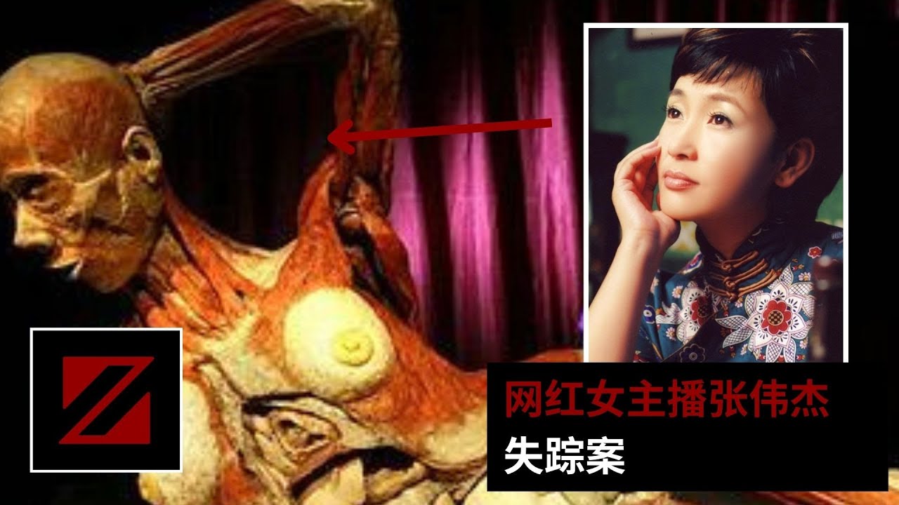 网红女主播张伟杰失踪案