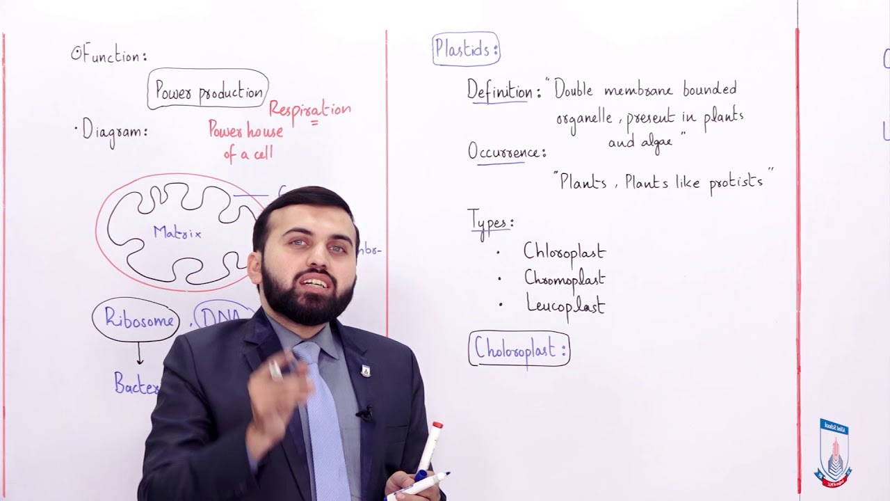 Class 9 - Biology - Chapter 4 - Lecture 7 Pastids & Mitochondria - Allied Schools