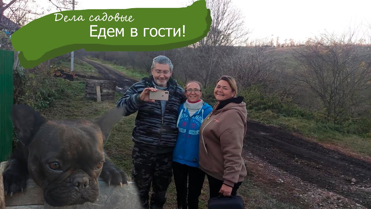 Что уже посадила? Шлифую спилы. Едем в гости в хутор Стуканов!