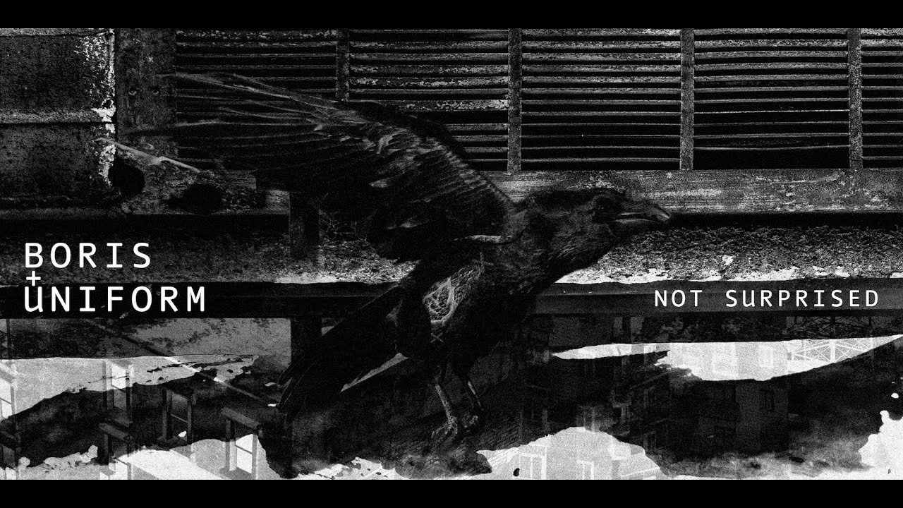 Boris and Uniform - Not Surprised (Official Music Video)