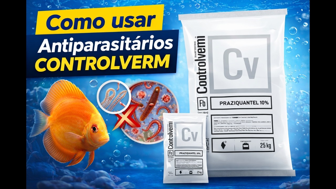 Controlverm no aquário: quando usar e como aplicar