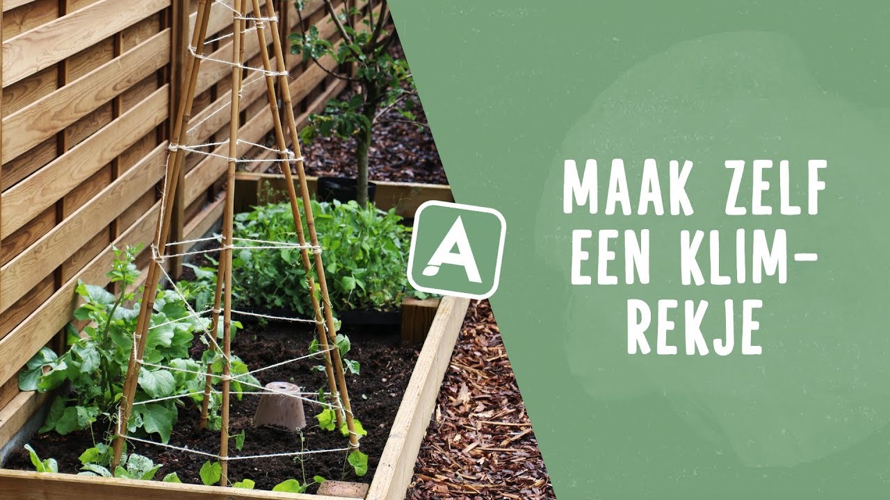 DIY: zelf een klimrekje maken I Cucamelons planten I Angelo Dorny