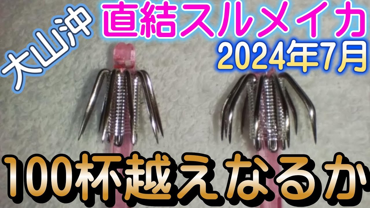 【直結スルメイカ釣り】今年も100杯越えなるか　スルメイカ直結勝負！
