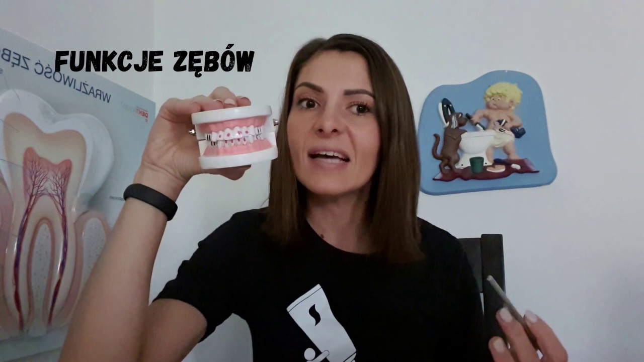 #Nieszoruj Budowa, funkcje i rodzaje zębów, pierwsze zęby stałe czyli co powinniśmy wiedzieć..odc. 2