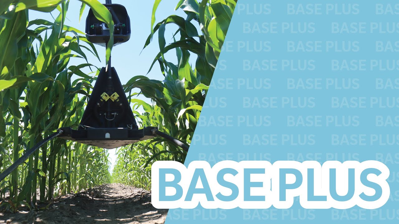 How to manage nitrogen costs with a Base Plus nitrogen strategy