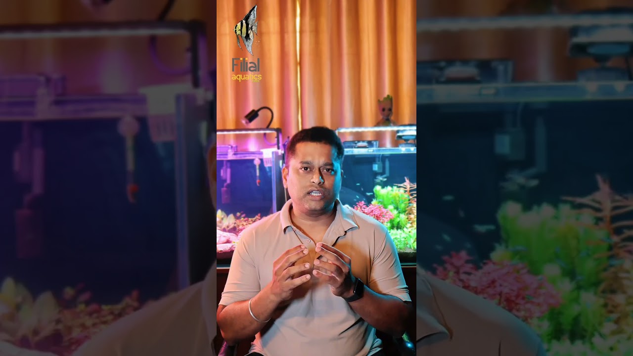 #14 CO₂ for Planted Aquariums – Which One's for You? 