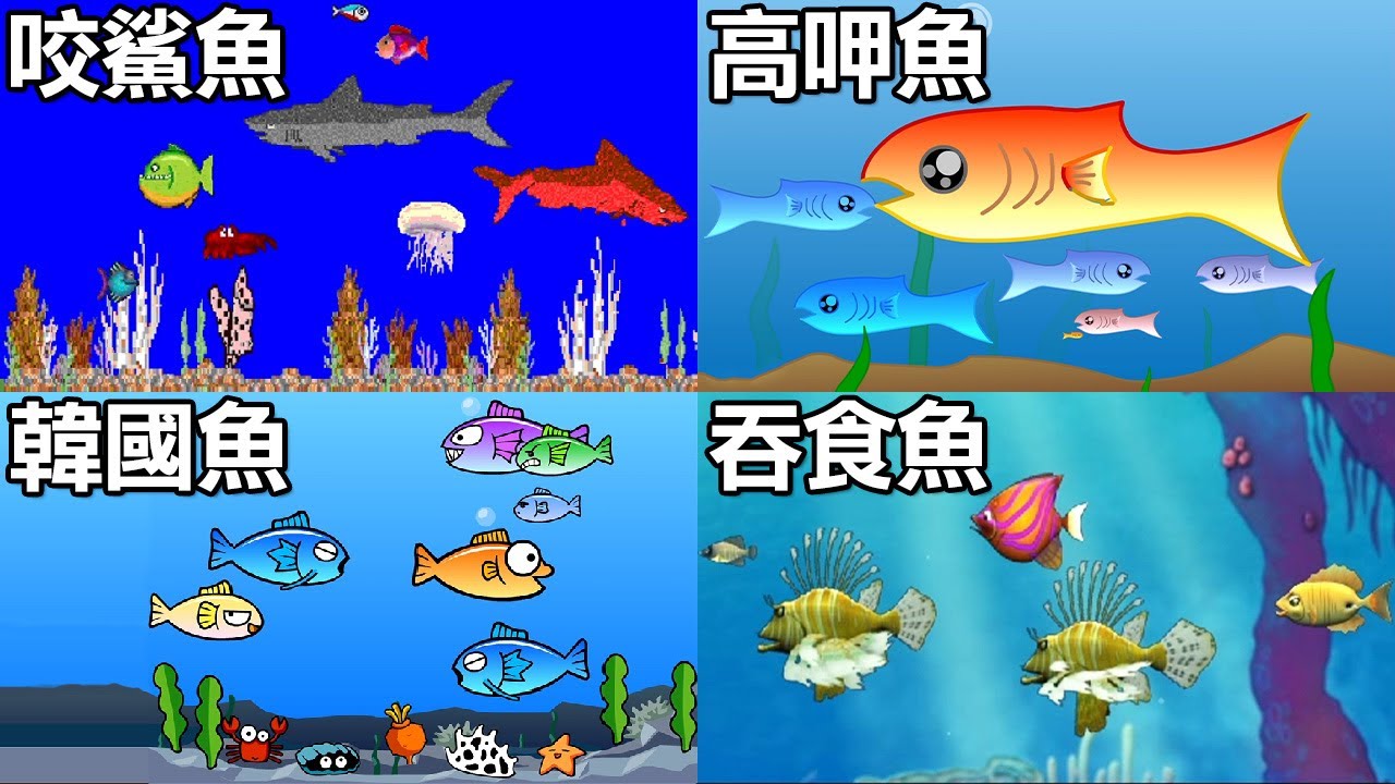 【大魚吃小魚】總有一款你玩過！吃到破壞生態系平衡啦｜Shark!｜Fishy｜꼬기꼬기
