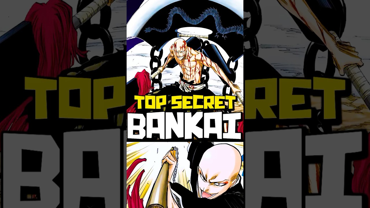 This Character SHOULDN'T Have A Bankai in BLEACH... IKKAKU MADARAME Explained