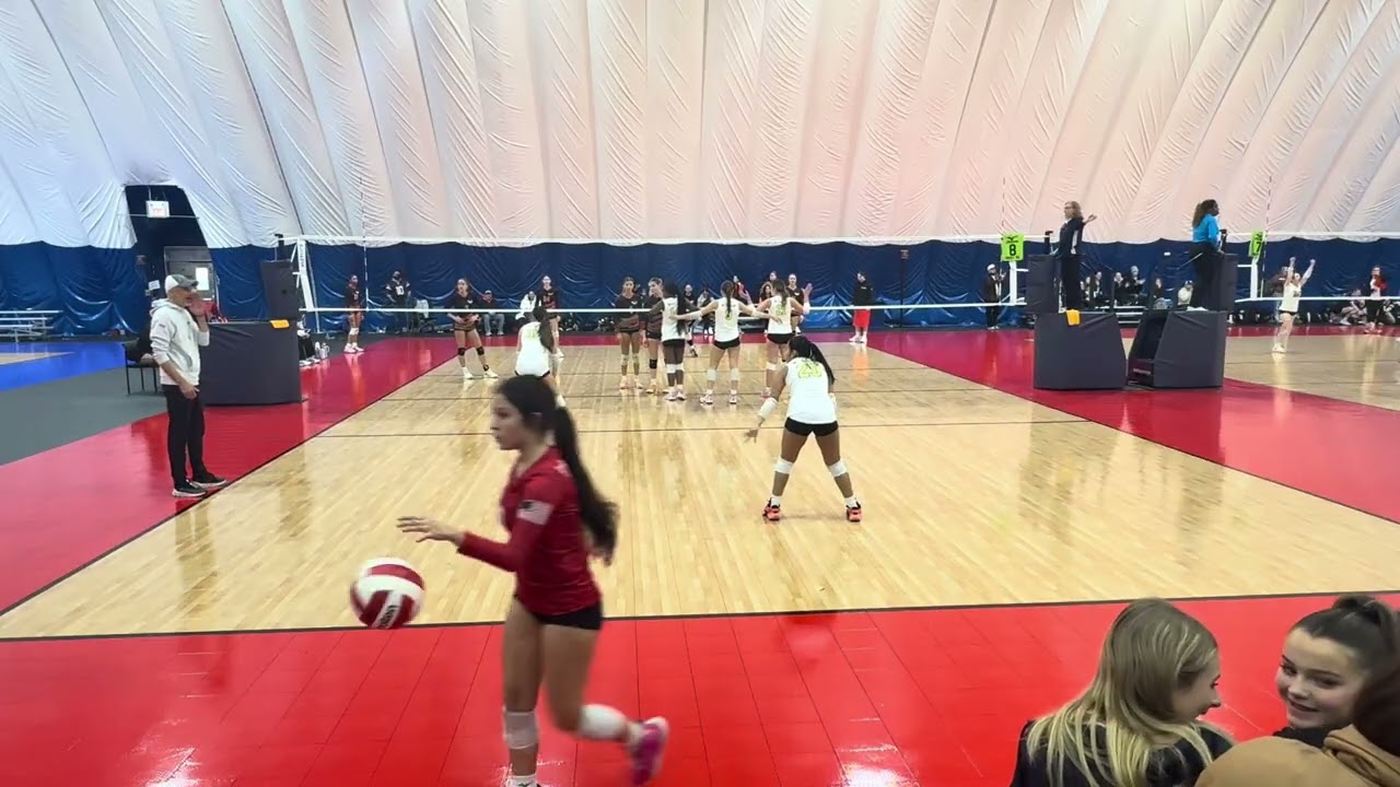 Forza 14 Black vs. Net force 14 elite