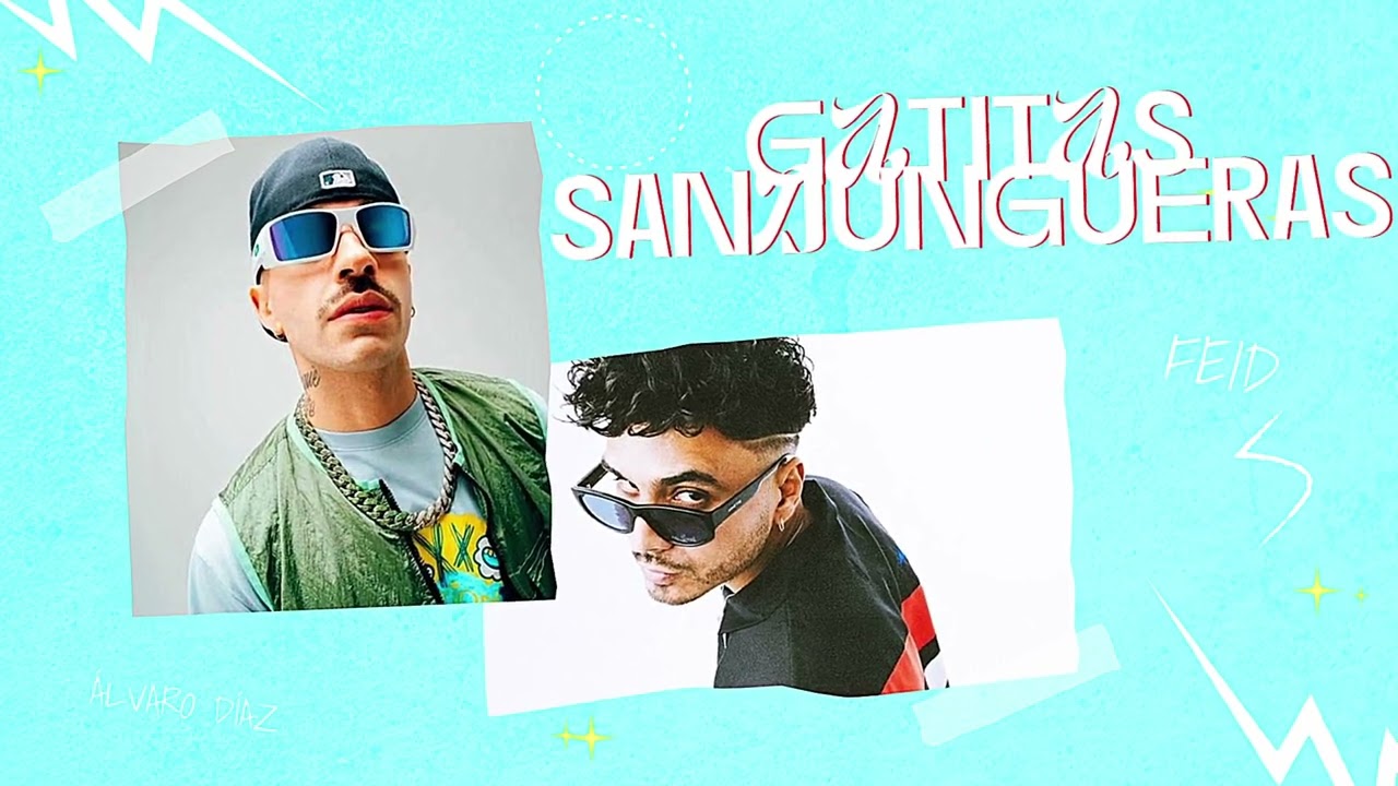 Gatitas Sandungueras Mashup | Feid x Álvaro Díaz x Daddy Yankee x Bad Bunny | Alvape Mashup TikTok 🚀