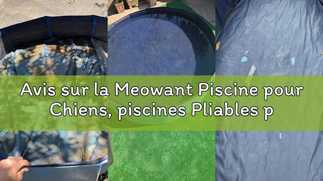 Avis sur la Meowant Piscine pour Chiens, piscines Pliables pour Chiens de Grande Taille, Piscine de
