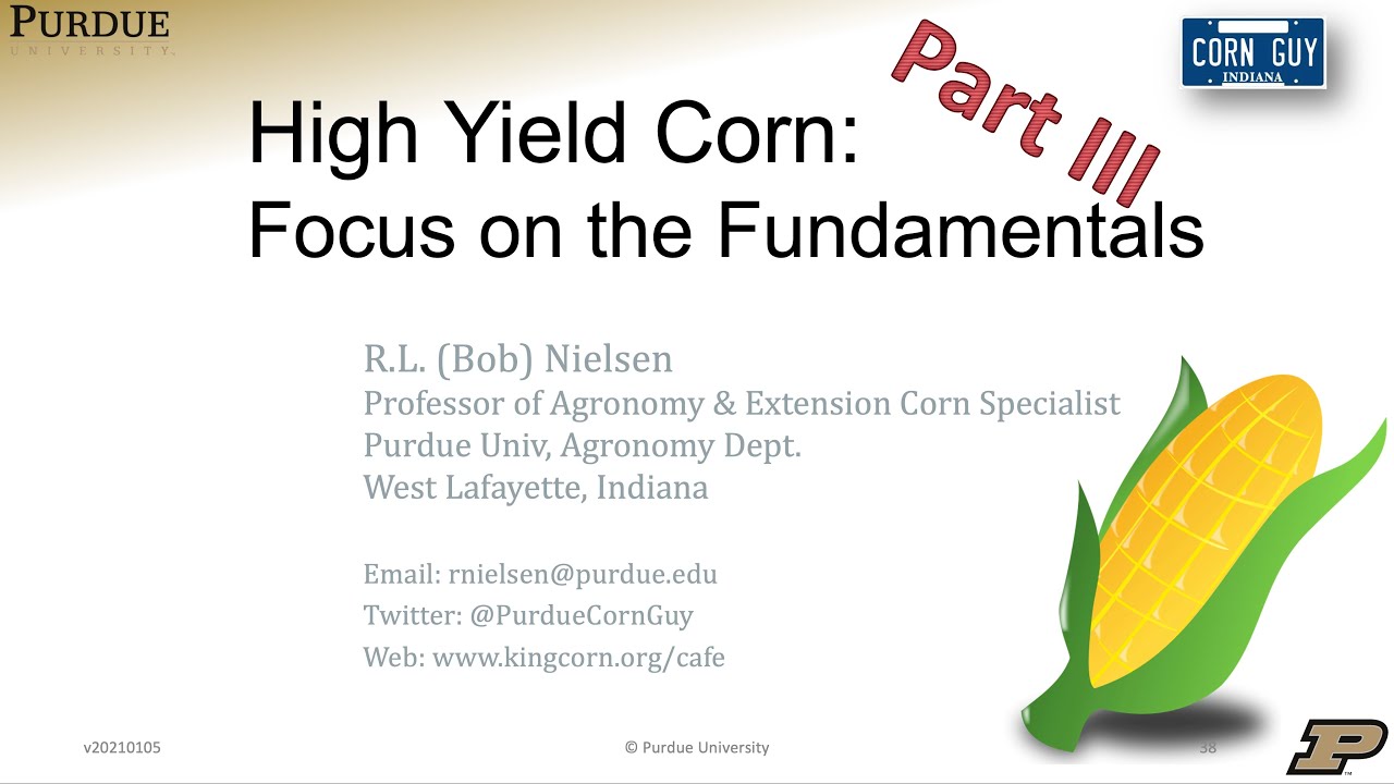 High Yield Corn: Focus on the Fundamentals / Part 3