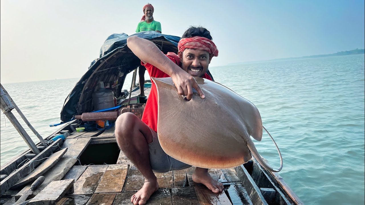 জীবনে প্রথমবার বেশ বড় সাইজের সংরক্ষিত মাছের দেখা পেলাম!!!@WILDLIFEOFSUNDARBAN-ft7nu