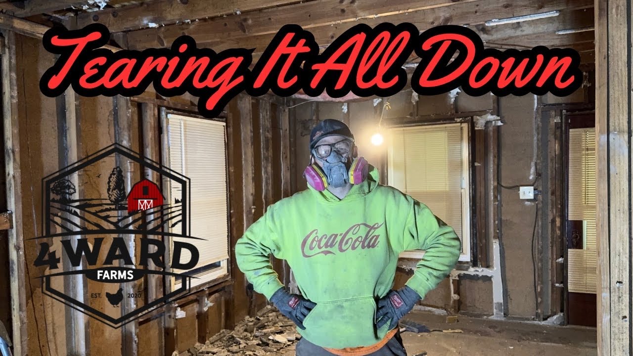 Living Room DEMOLITION!!!