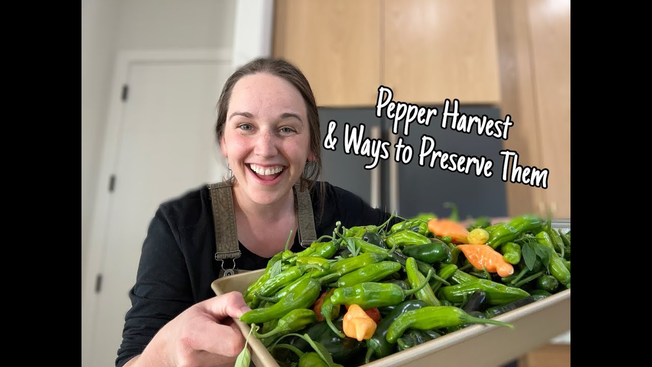 Pepper Harvest | Three Ways to Can Peppers | Canning Jalapeño Peppers