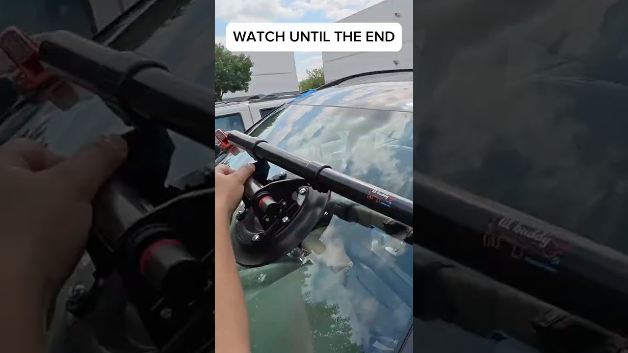 Watch Until the End! LIL BUDDY ACTION - Glass 4 Less Auto Glass #autoglass #windshieldreplacement