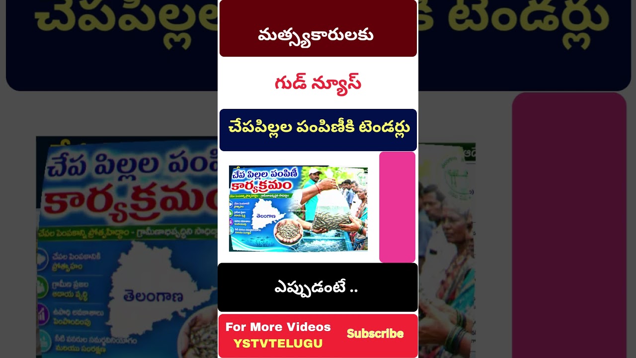 Telangana Fishermen Latest News | Young Fish (Fish Seed) Distribution 2026 | Fish Seed Tender |