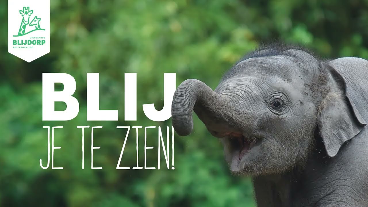 Diergaarde Blijdorp Rotterdam is weer open! Blij je (weer) te zien!