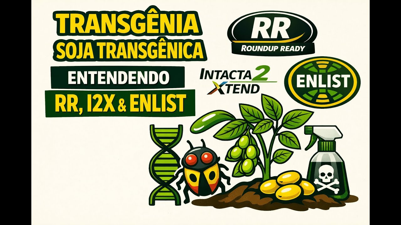 Trangênia – Soja transgênica: Entendendo RR, I2X e Enlist