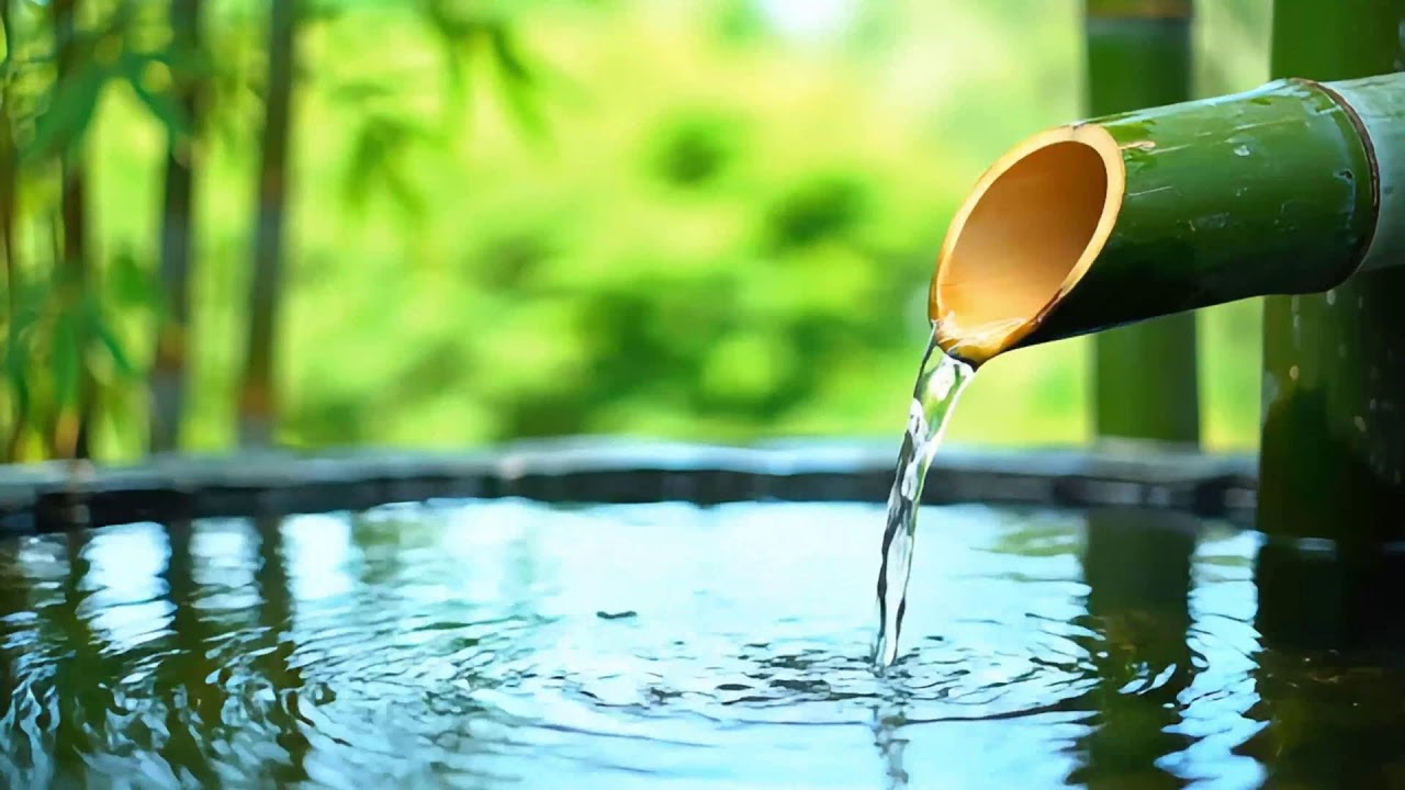 Relaxing Music for Healing + Water Sounds 🌿 - Healing Sleep Music 🌿 Relieve Stress