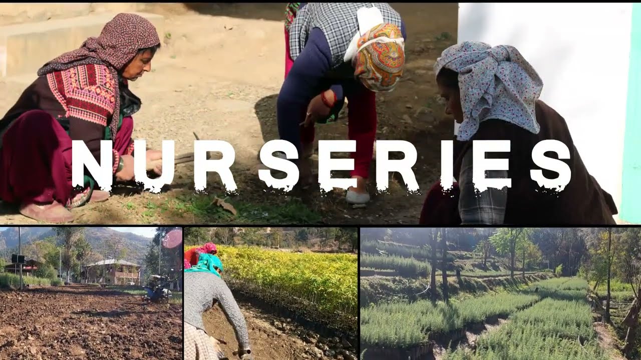Short Documentary on JICA HP Forestry Project