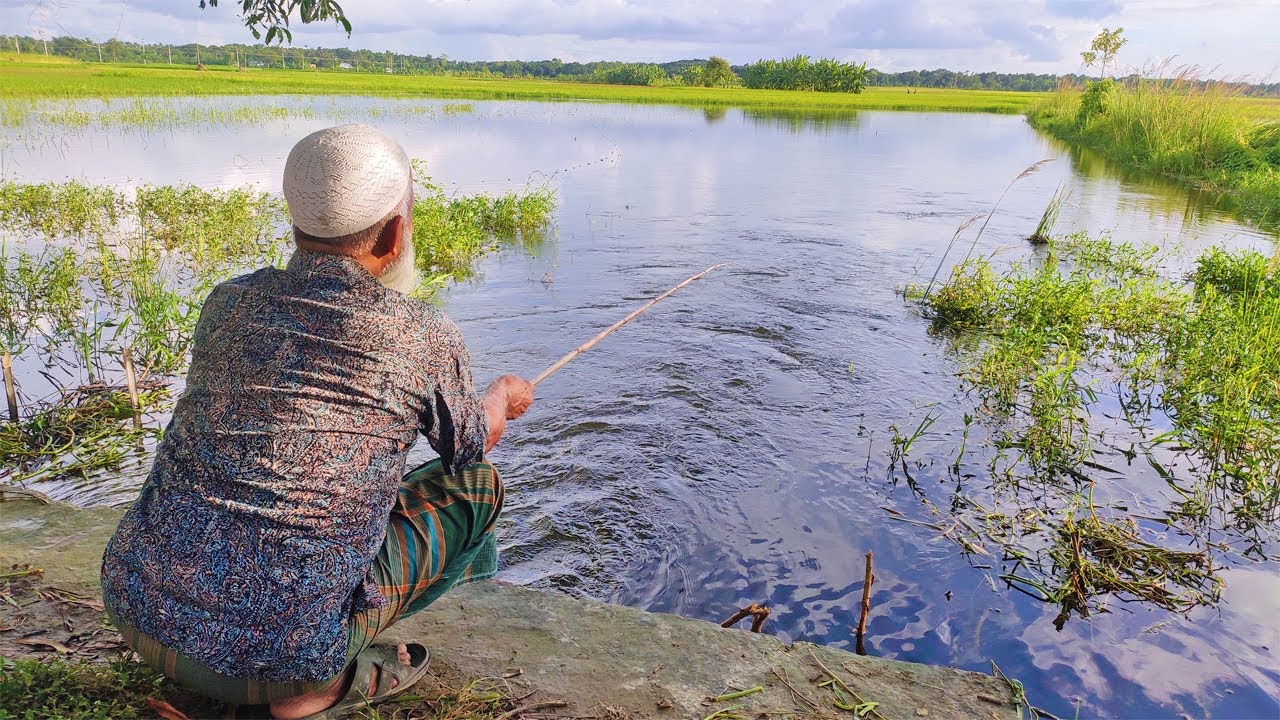 Fishing Video | Hook Fishing | Hunting Fish in Village