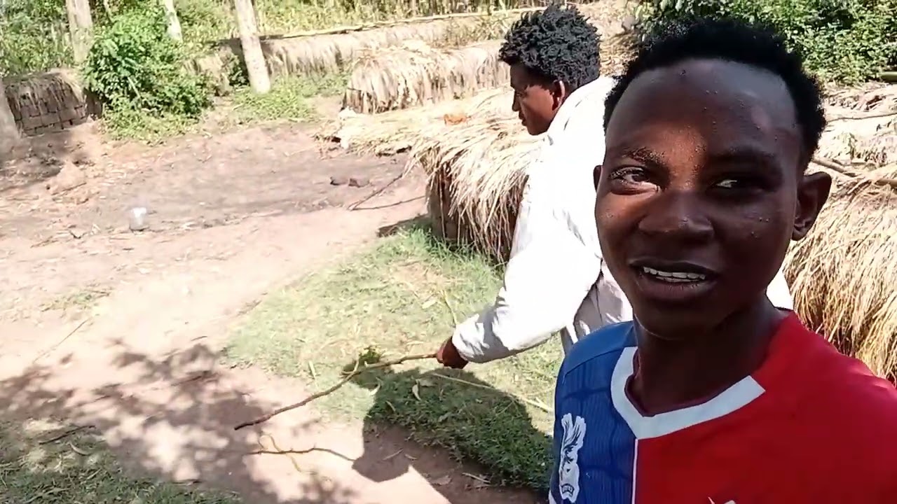 Dangerous Green Snake Encounter in the Village (Safety Awareness)